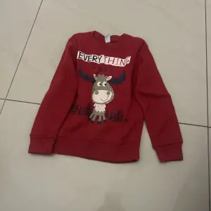 Pulls pour filles 